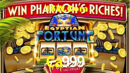 Sistemas de Segurança Ca999